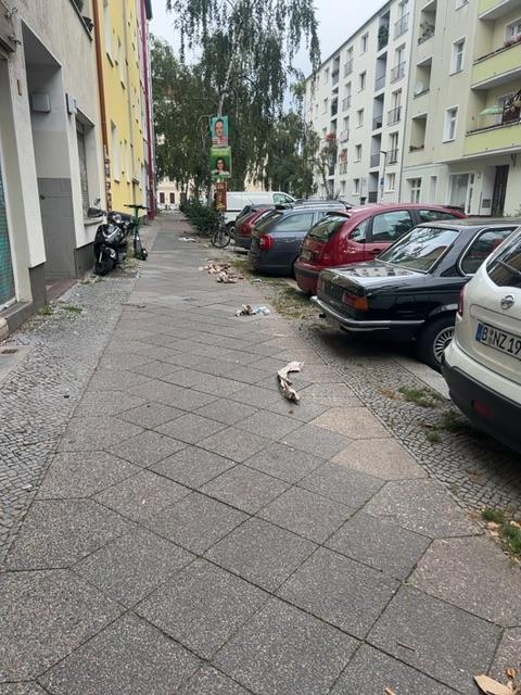 Foto zur Meldung: Straßenaufsicht - Mangelnde Straßenreinigung