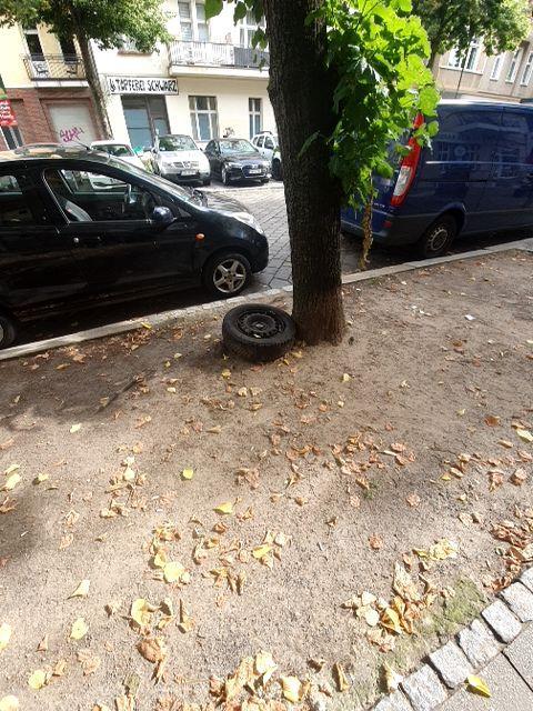 Foto zur Meldung: Abfall - Elektroschrott