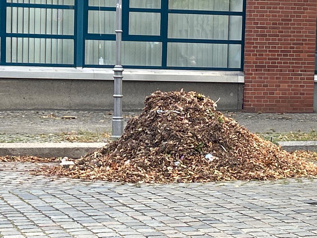 Foto zur Meldung: Abfall - Bioabfälle