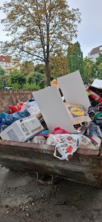 Foto zur Meldung: Sondernutzung - Bauschuttcontainer
