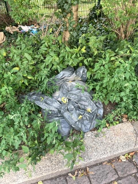 Foto zur Meldung: Abfall - Müllablagerung