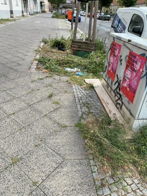 Foto zur Meldung: Abfall - Müllablagerung