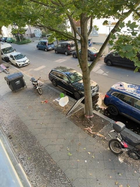 Foto zur Meldung: Abfall - Sperrmüll
