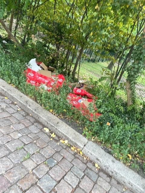 Foto zur Meldung: Abfall - Müllablagerung