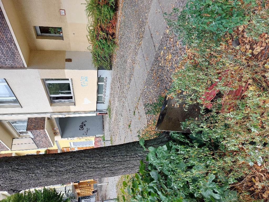Foto zur Meldung: Abfall - Elektroschrott