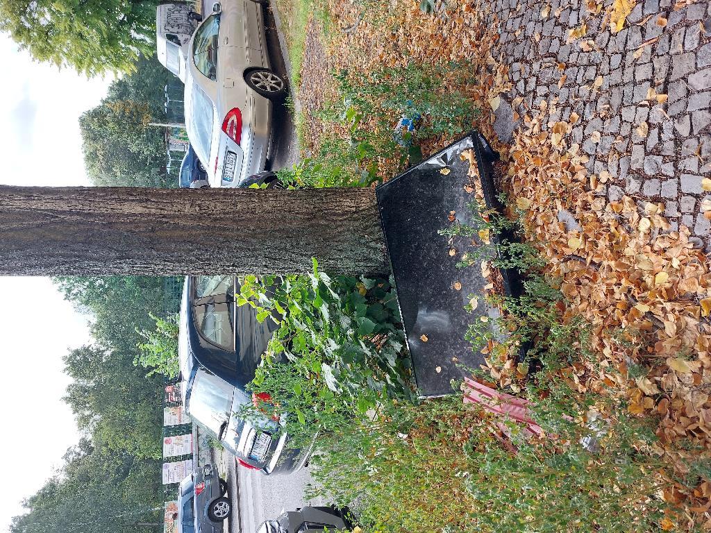 Foto zur Meldung: Abfall - Elektroschrott