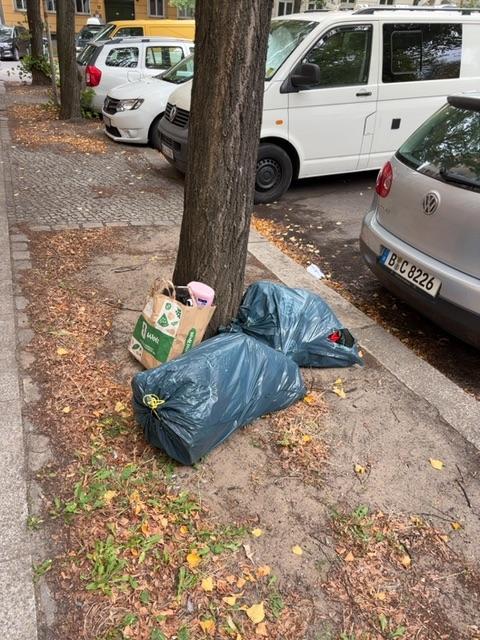 Foto zur Meldung: Abfall - Müllablagerung