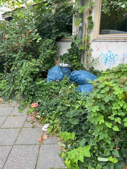 Foto zur Meldung: Abfall - Müllablagerung