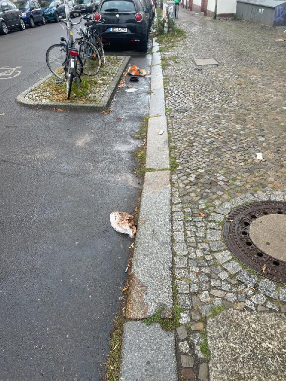 Foto zur Meldung: Straßenaufsicht - Mangelnde Straßenreinigung