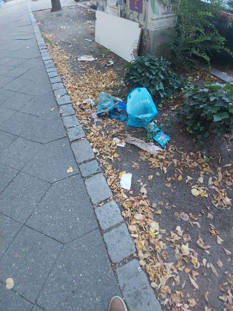 Foto zur Meldung: Abfall - Müllablagerung