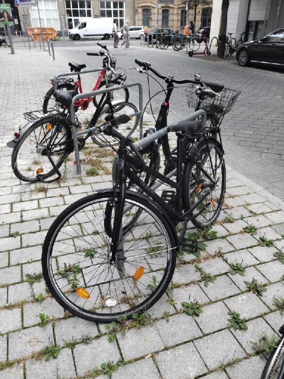 Foto zur Meldung: Abfall - Schrottfahrräder liste