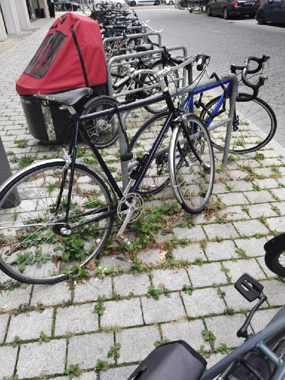 Foto zur Meldung: Abfall - Schrottfahrräder liste