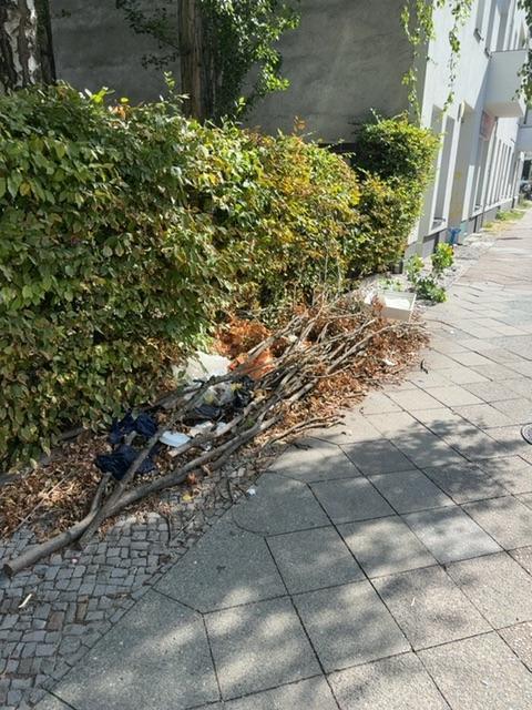 Foto zur Meldung: Abfall - Müllablagerung
