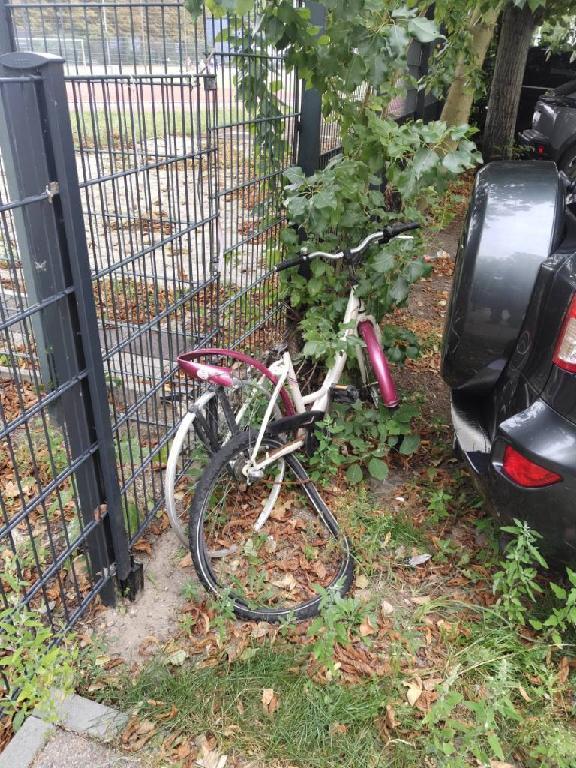 Foto zur Meldung: Abfall - Schrottfahrräder liste