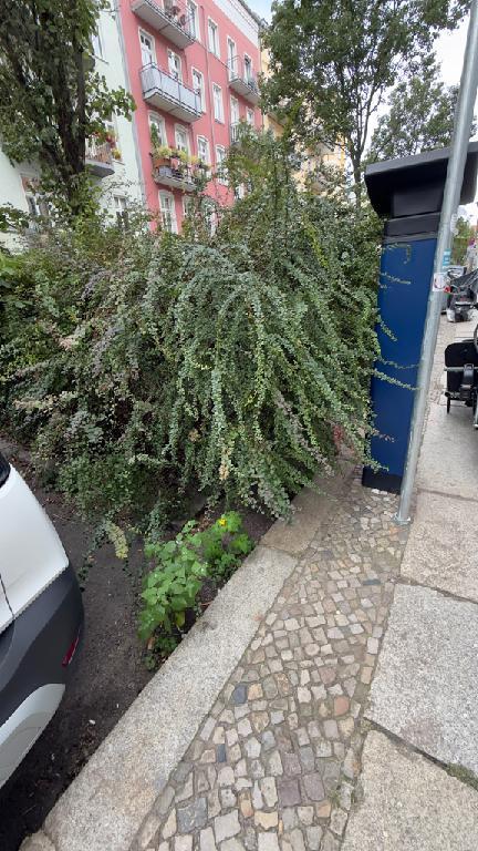 Foto zur Meldung: Straßenaufsicht - Mangelnde Straßenreinigung