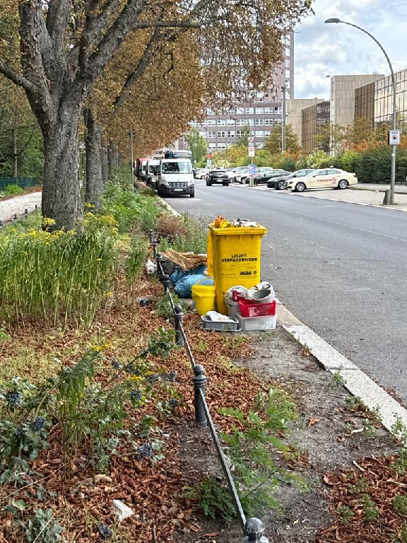 Foto zur Meldung: Straßenaufsicht - Mangelnde Straßenreinigung