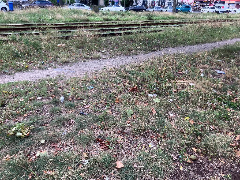Foto zur Meldung: Straßenaufsicht - Mangelnde Straßenreinigung