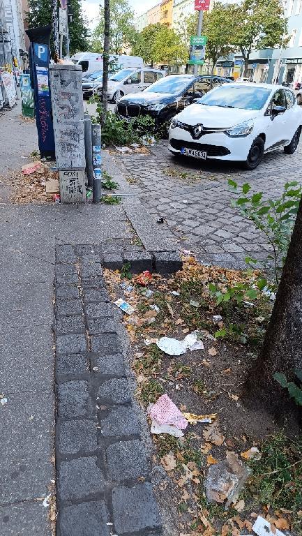Foto zur Meldung: Straßenaufsicht - Mangelnde Straßenreinigung