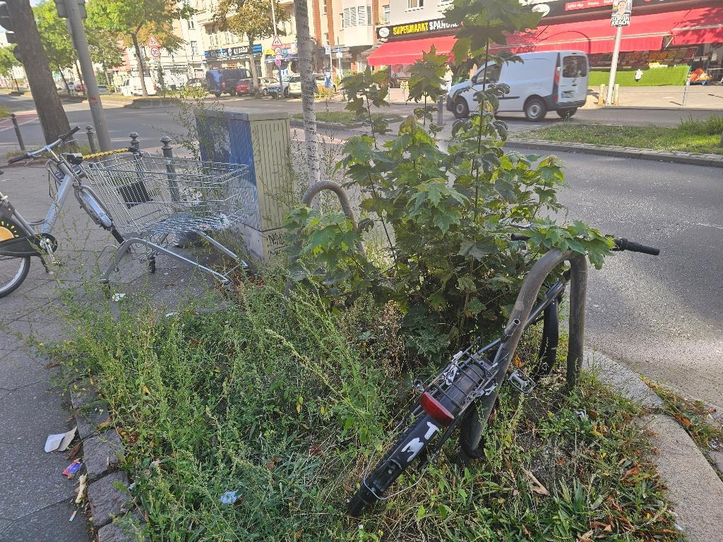 Foto zur Meldung: Abfall - Elektroschrott