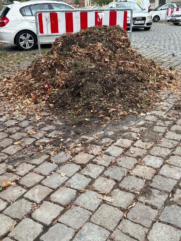 Foto zur Meldung: Abfall - Bioabfälle