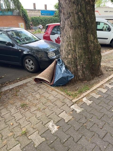 Foto zur Meldung: Abfall - Sperrmüll
