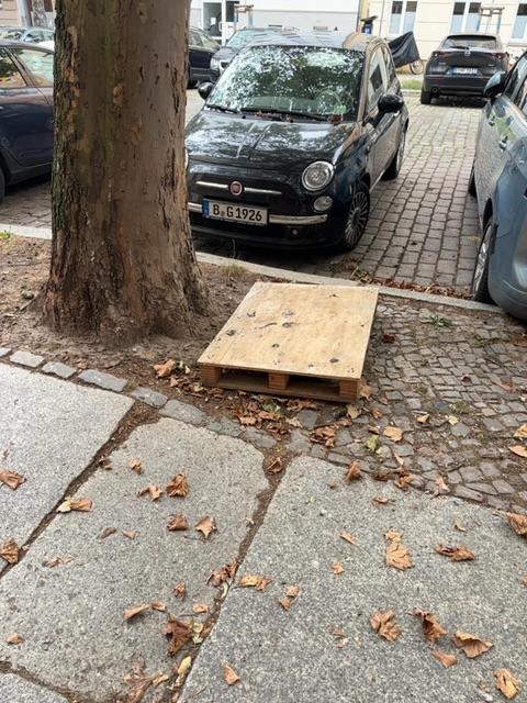 Foto zur Meldung: Abfall - Sperrmüll