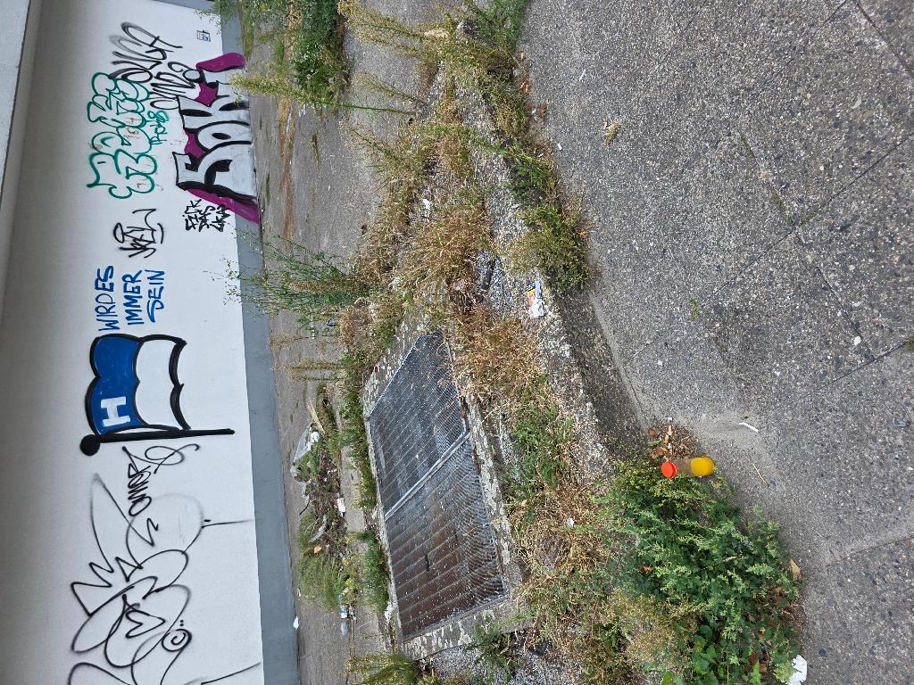 Foto zur Meldung: Straßenaufsicht - Mangelnde Straßenreinigung