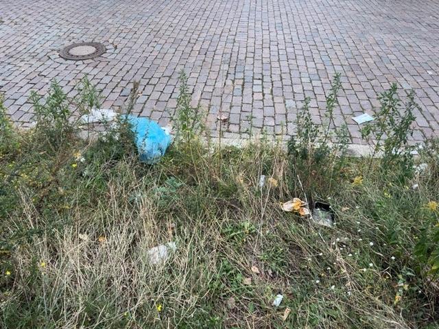 Foto zur Meldung: Abfall - Müllablagerung